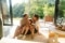 Das Bild zeigt eine Familie mit zwei Kindern, die vor einer geöffneten Terrassentür auf dem Boden im Wohnzimmer sitzen und sich fröhlich umarmen. 
