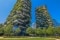 Das Bild zeigt ein begrüntes Hochhaus (Bosco Verticale in Mailand)